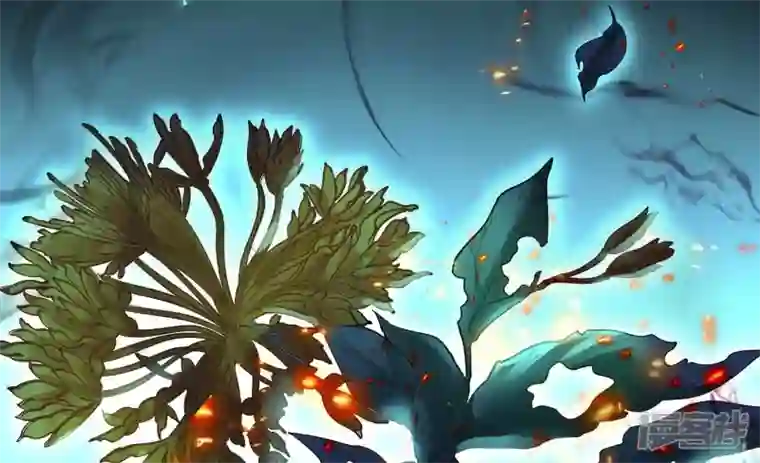 废柴女配，独揽群芳第117话 命运分歧