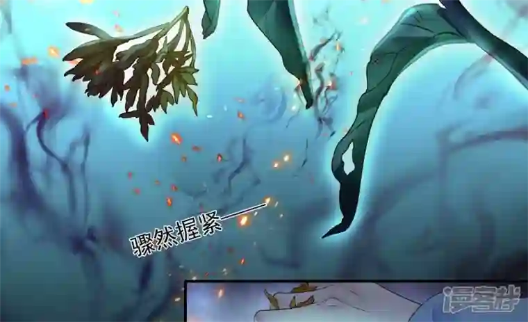 废柴女配，独揽群芳第117话 命运分歧