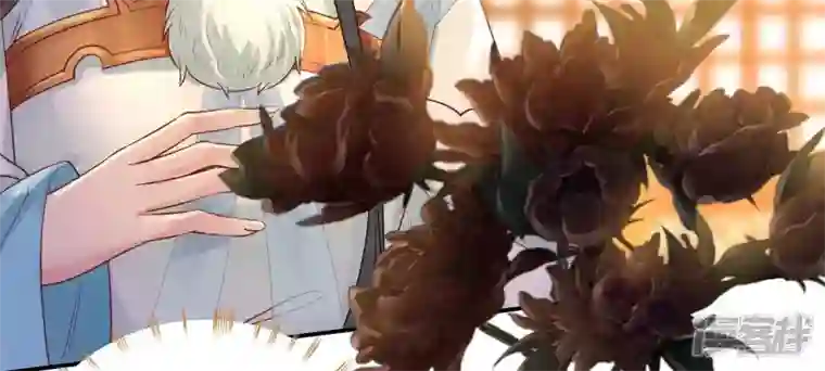 废柴女配，独揽群芳第117话 命运分歧