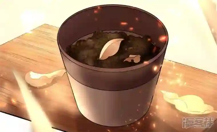 废柴女配，独揽群芳第118话 这，我能看？