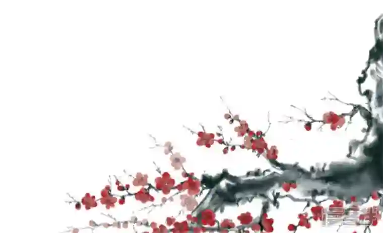 废柴女配，独揽群芳番外：圣诞聚会