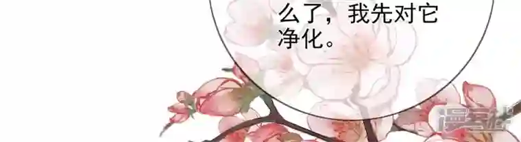 废柴女配，独揽群芳第119话 群芳谱的秘密