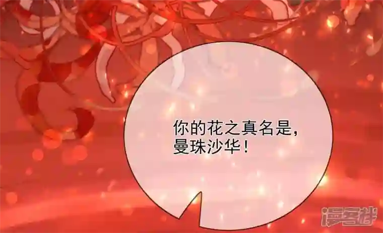 废柴女配，独揽群芳第120话 卯