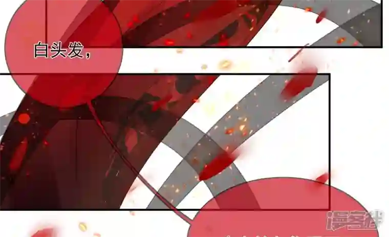 废柴女配，独揽群芳第121话 意料之外的花朵