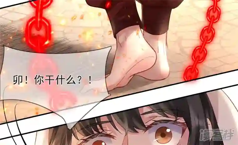 废柴女配，独揽群芳第124话 百花祭