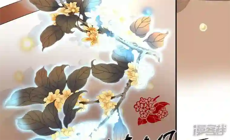 废柴女配，独揽群芳第129话 须弥花界