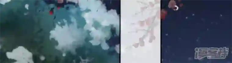 废柴女配，独揽群芳第131话 十二时辰