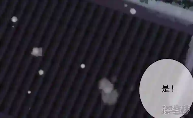 废柴女配，独揽群芳第131话 十二时辰