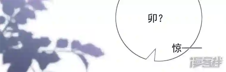 废柴女配，独揽群芳第134话 卯的悔过