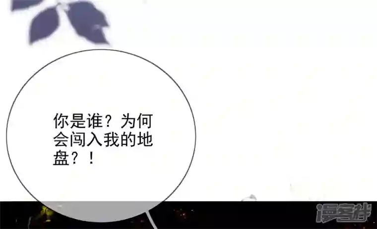 废柴女配，独揽群芳第134话 卯的悔过