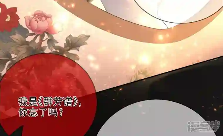废柴女配，独揽群芳第135话 米花的选择