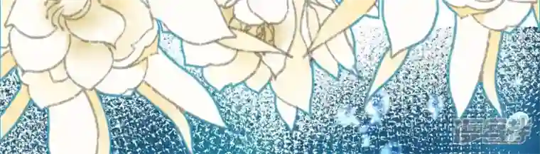 废柴女配，独揽群芳最终话 每个人的缺点