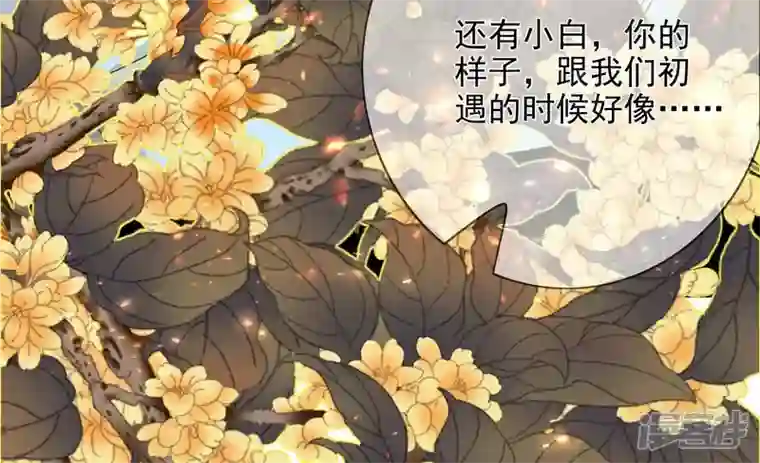 废柴女配，独揽群芳最终话 每个人的缺点