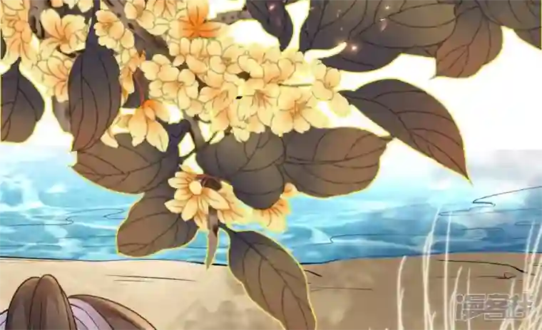 废柴女配，独揽群芳最终话 每个人的缺点