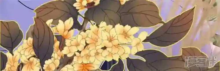废柴女配，独揽群芳最终话 每个人的缺点