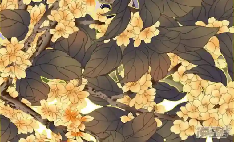 废柴女配，独揽群芳最终话 每个人的缺点