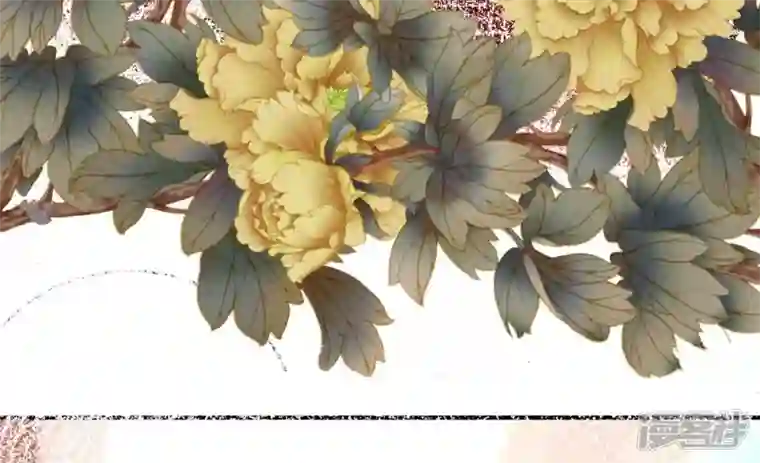 废柴女配，独揽群芳最终话 每个人的缺点