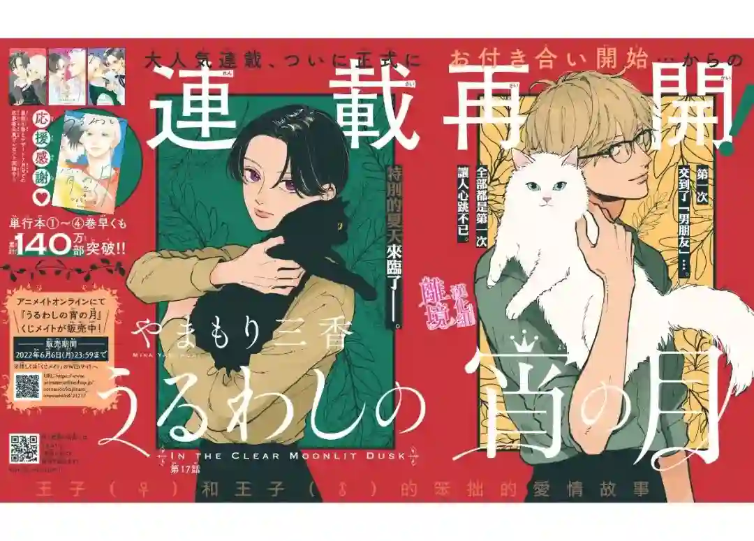 皎洁迎宵之月第17话