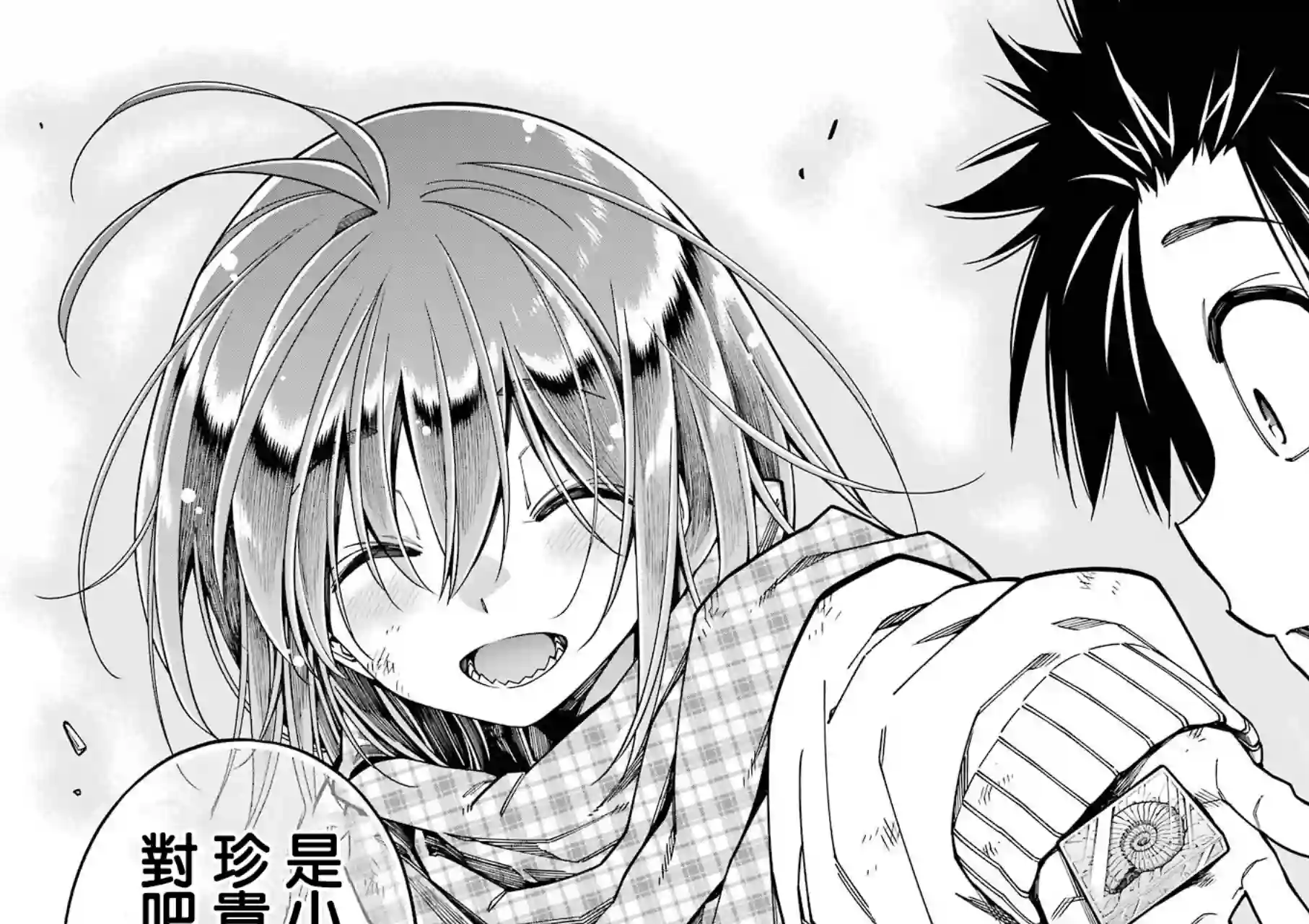 恐龙与化石连载08