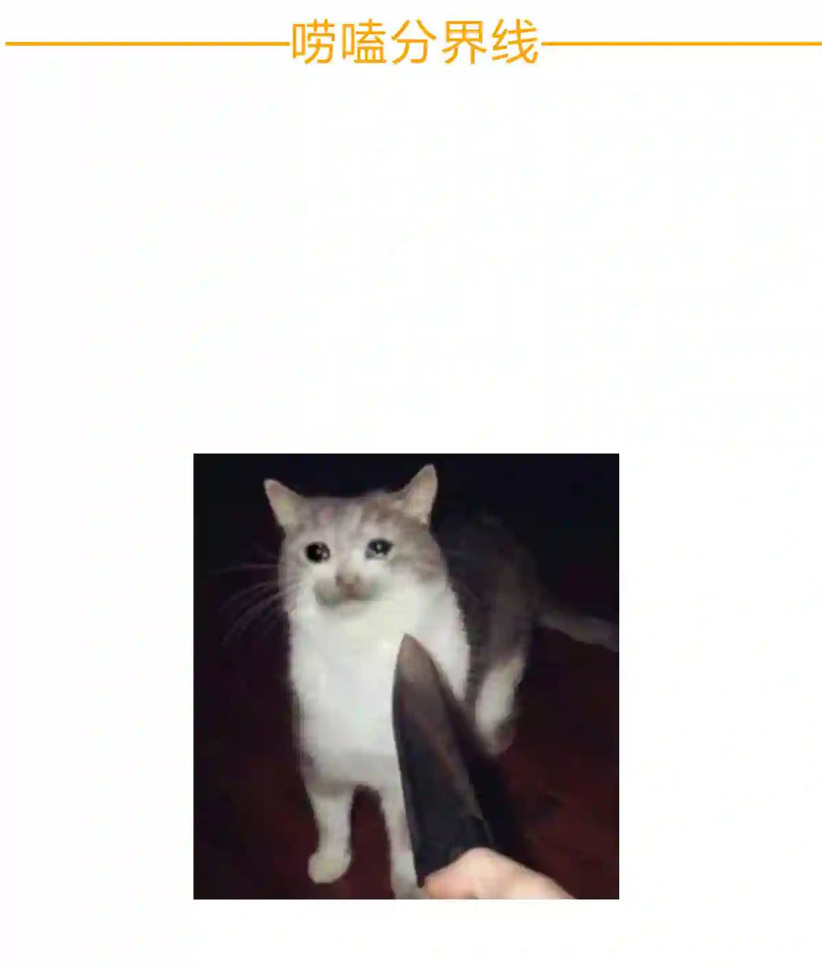 死生勿论（anemone）016 可能的朋友