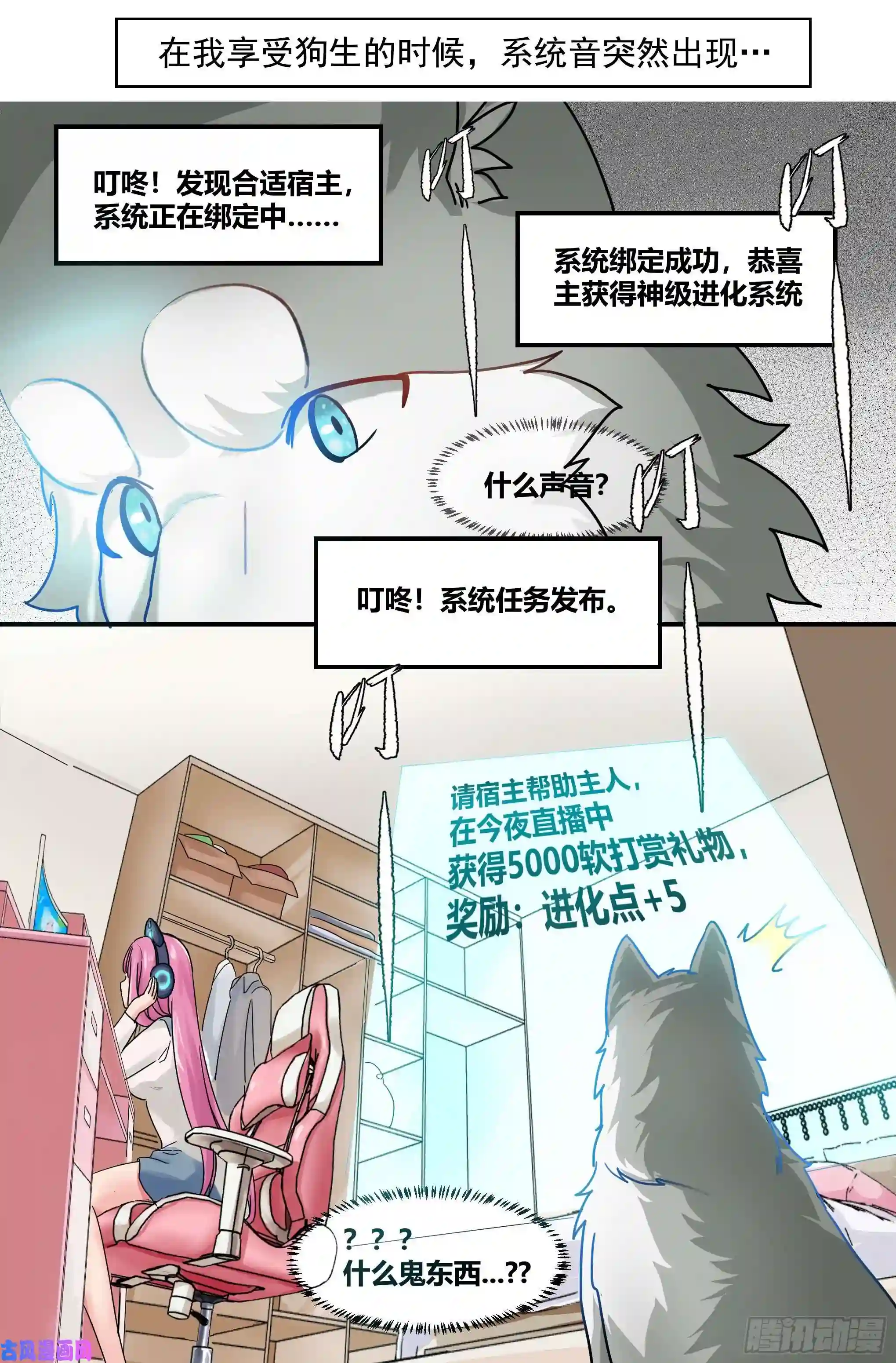 直播：女神家的哈士奇天秀预告