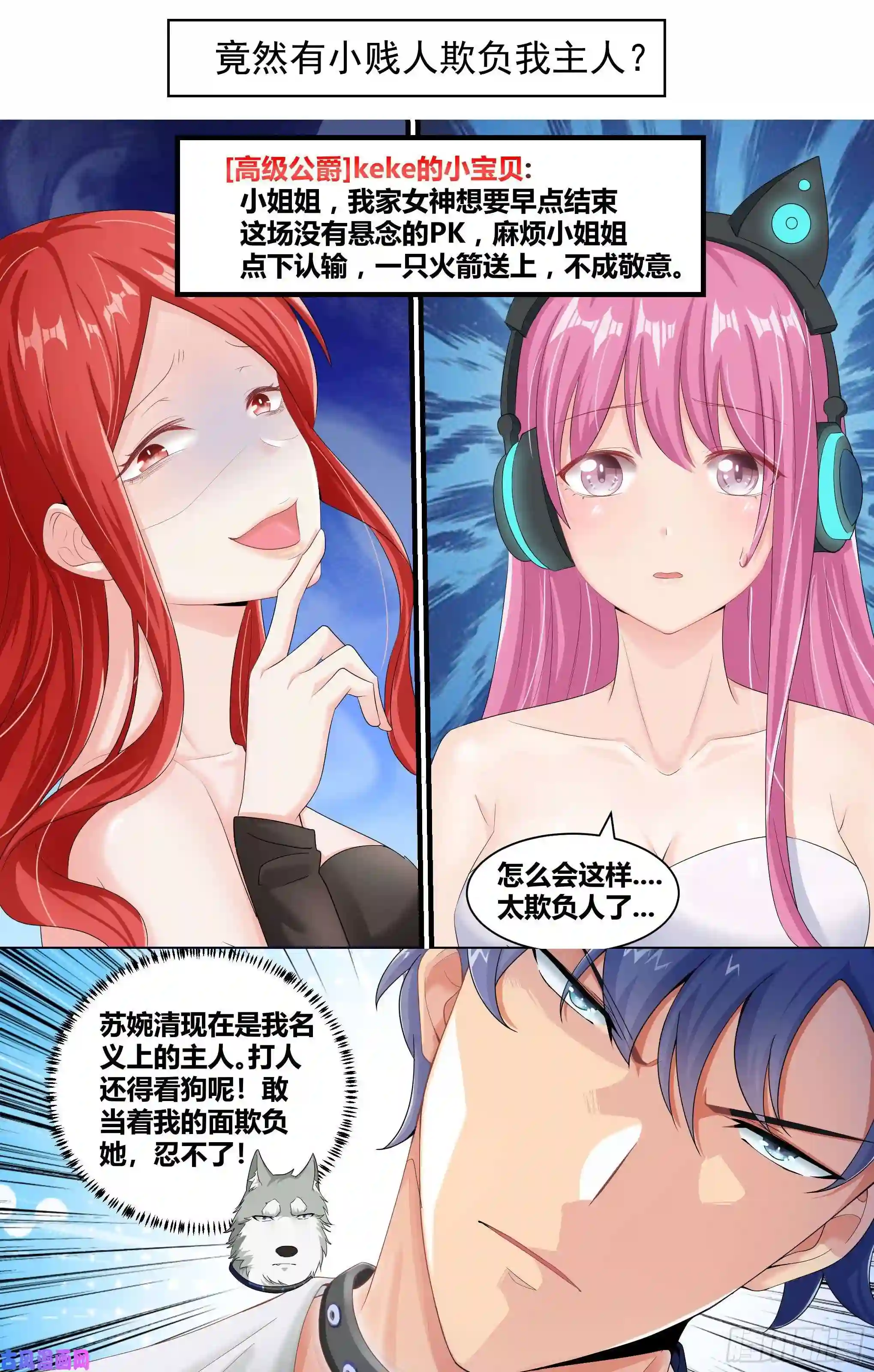 直播：女神家的哈士奇天秀预告