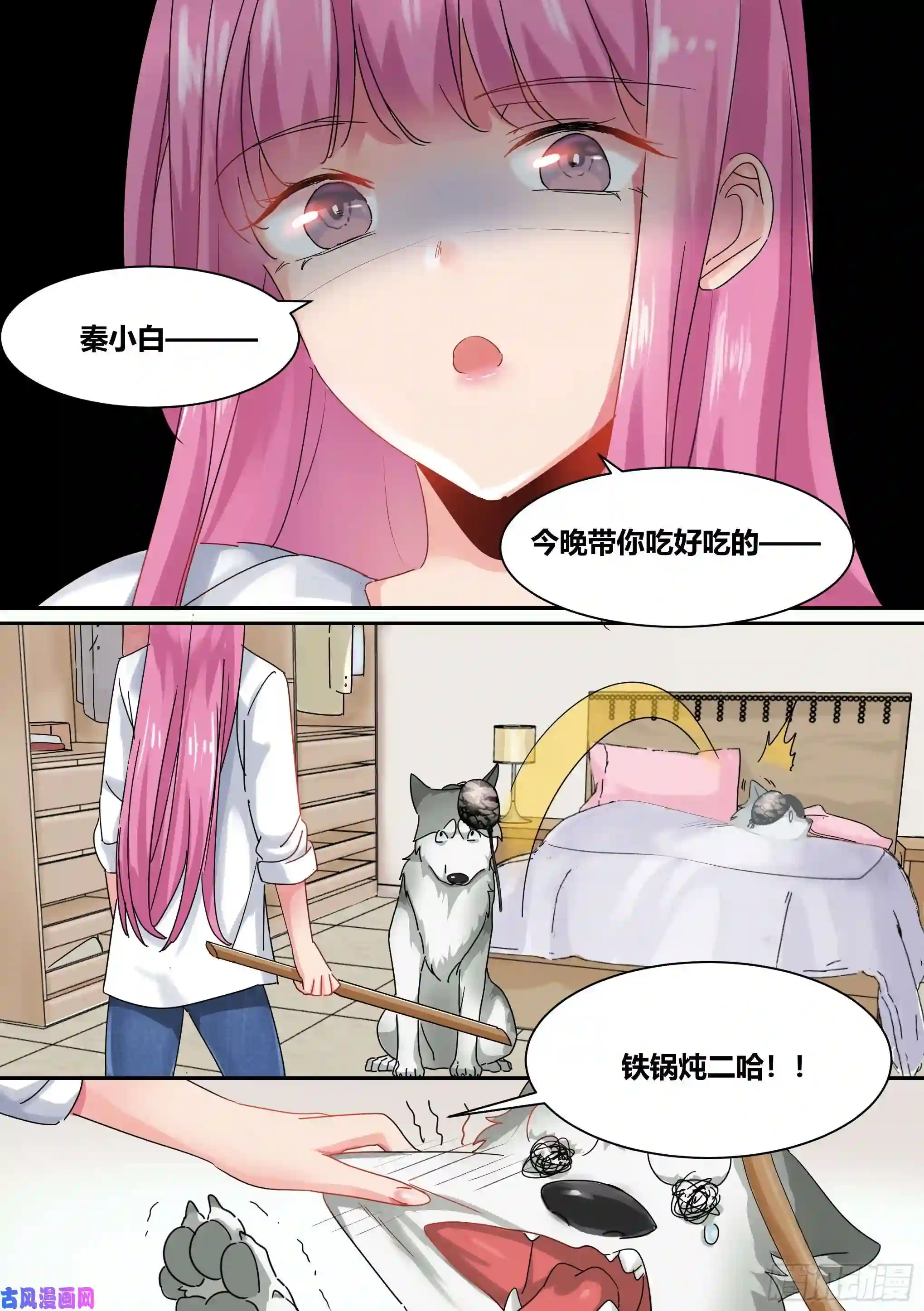 直播：女神家的哈士奇天秀1-我为什么变成了狗？！