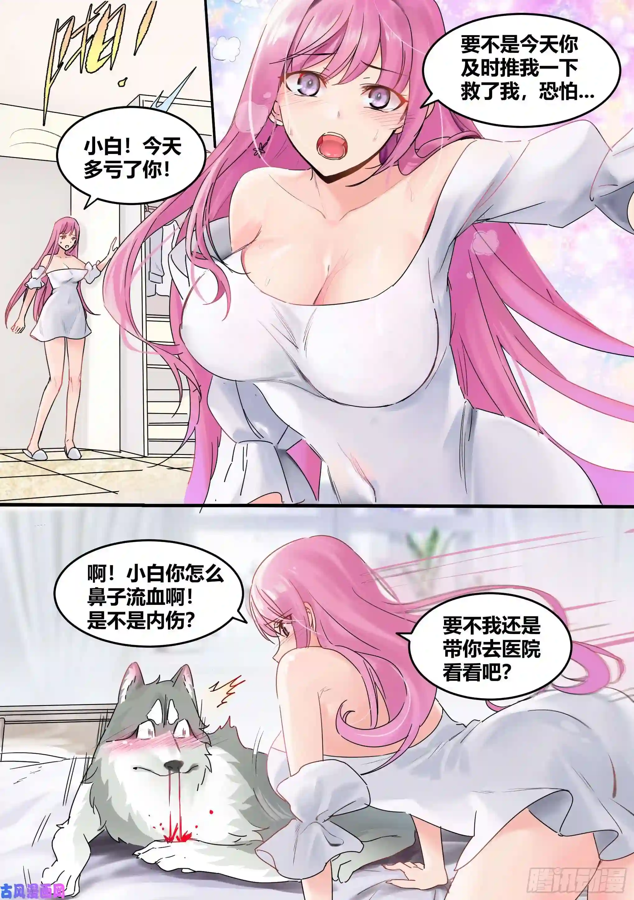 直播：女神家的哈士奇天秀1-我为什么变成了狗？！