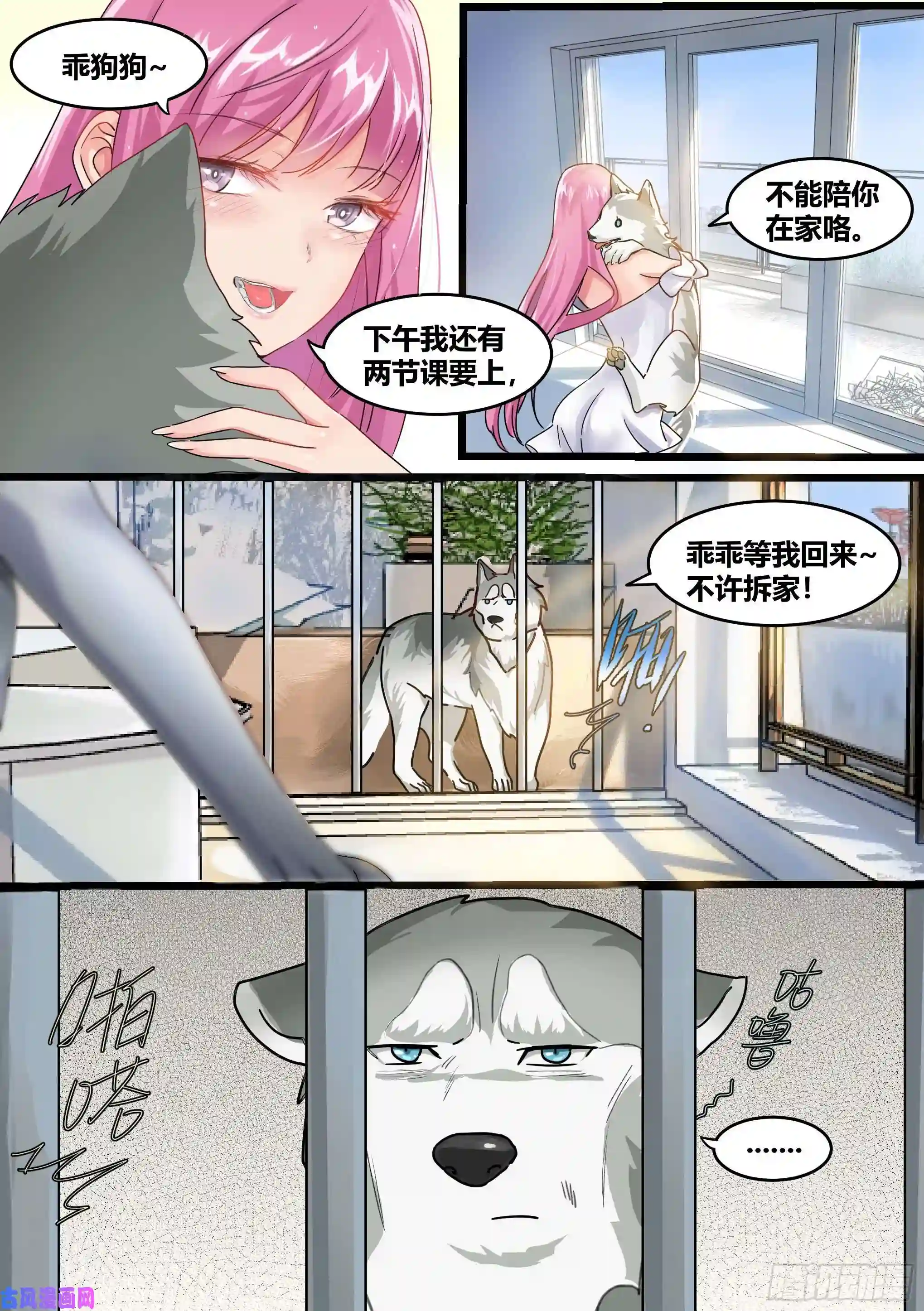 直播：女神家的哈士奇天秀1-我为什么变成了狗？！