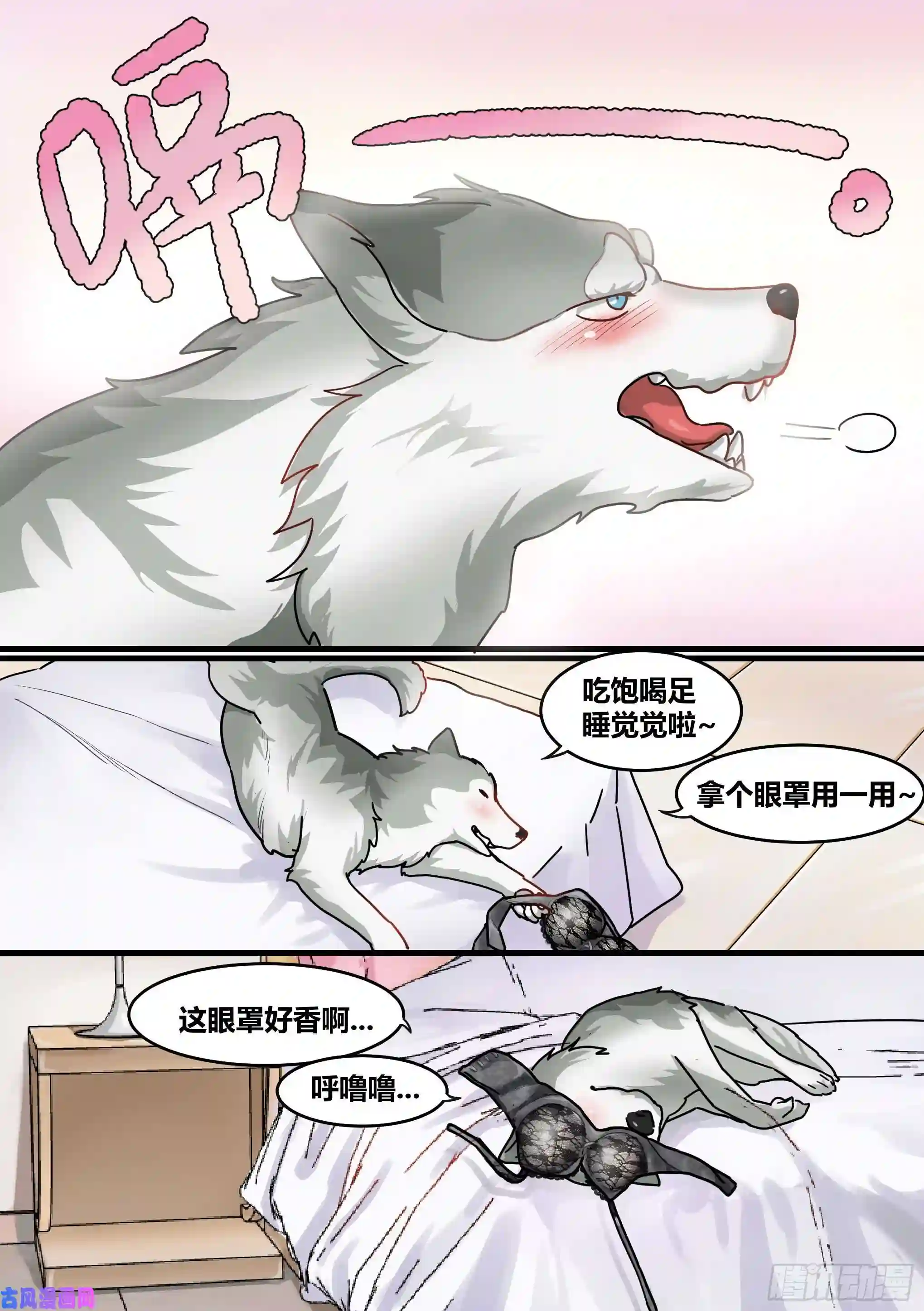 直播：女神家的哈士奇天秀1-我为什么变成了狗？！