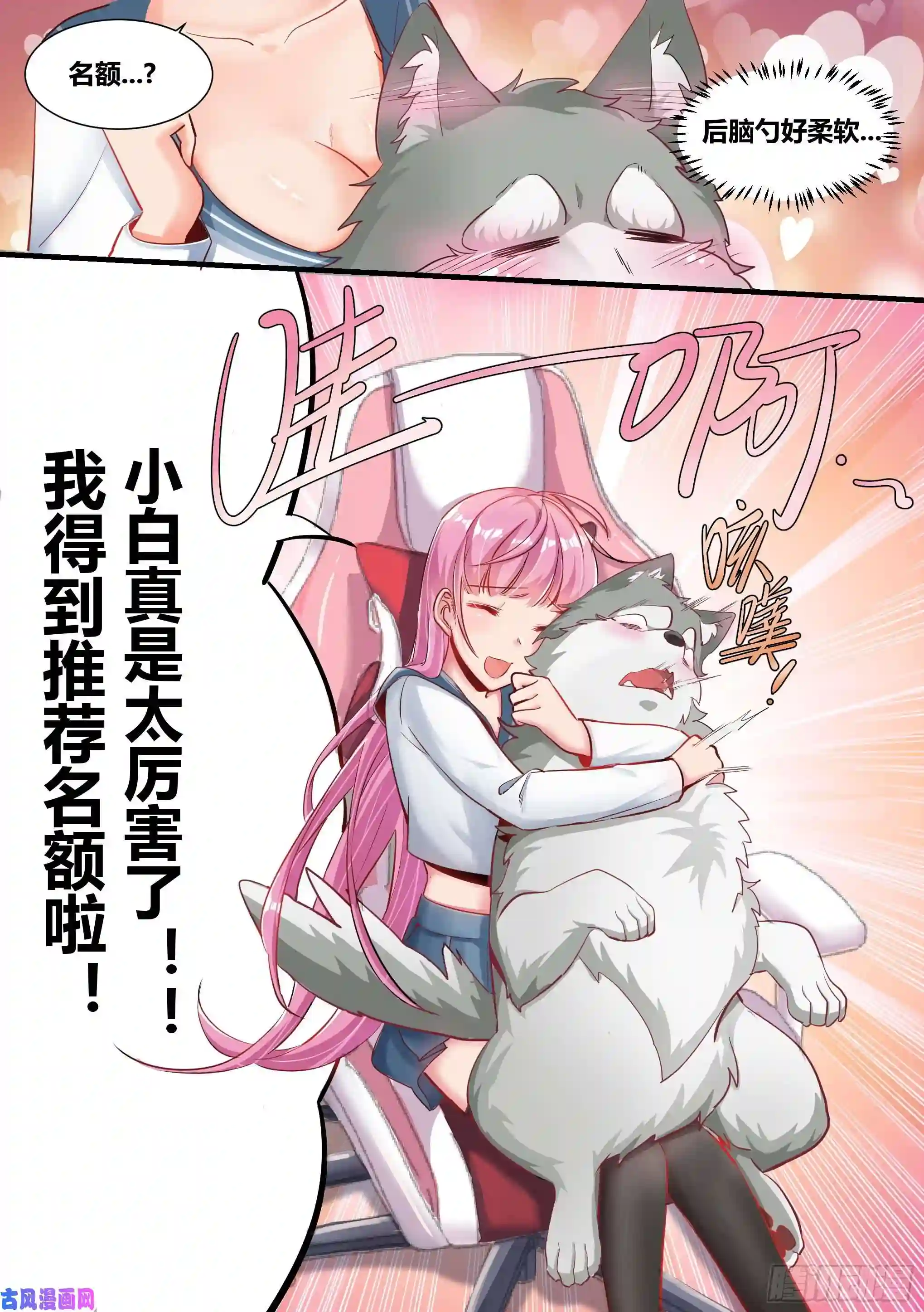 直播：女神家的哈士奇天秀2-“狗皇”诞生了！