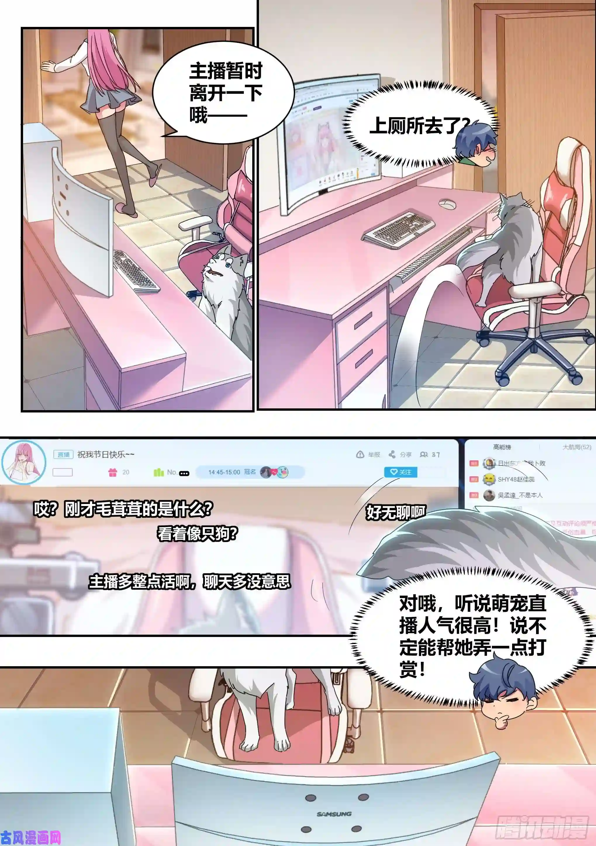 直播：女神家的哈士奇天秀2-“狗皇”诞生了！