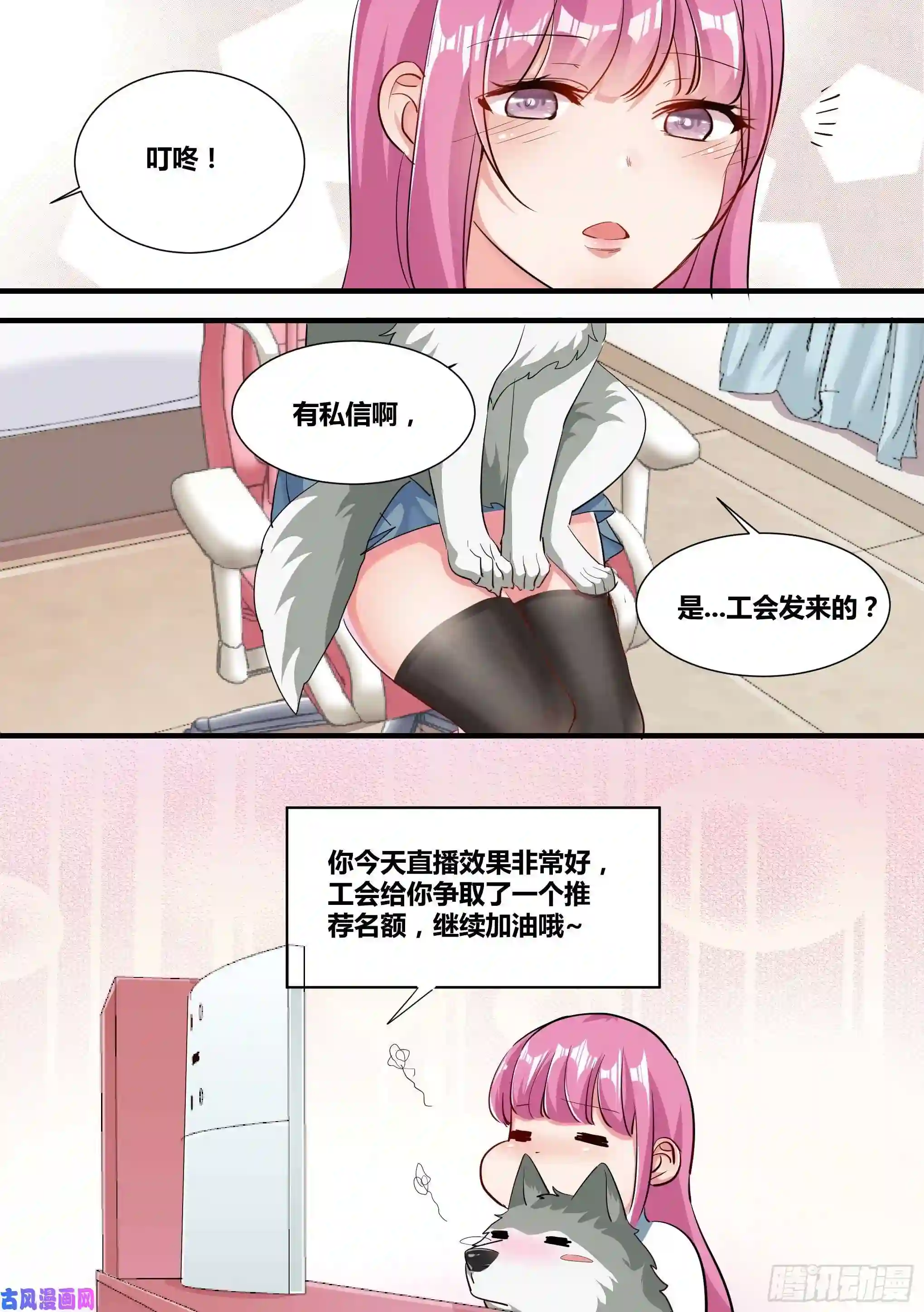 直播：女神家的哈士奇天秀2-“狗皇”诞生了！