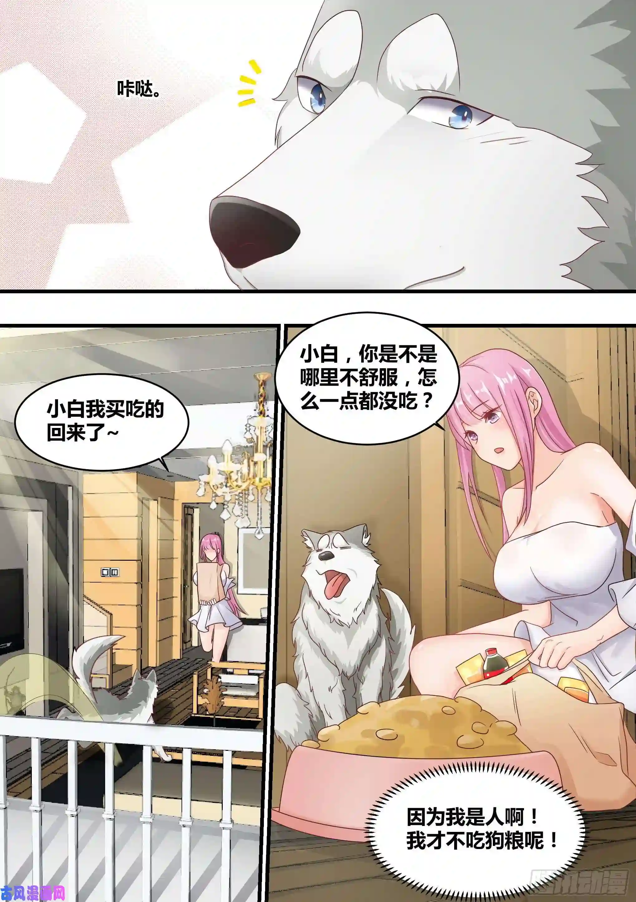 直播：女神家的哈士奇天秀3-欺负我的人，你凉了