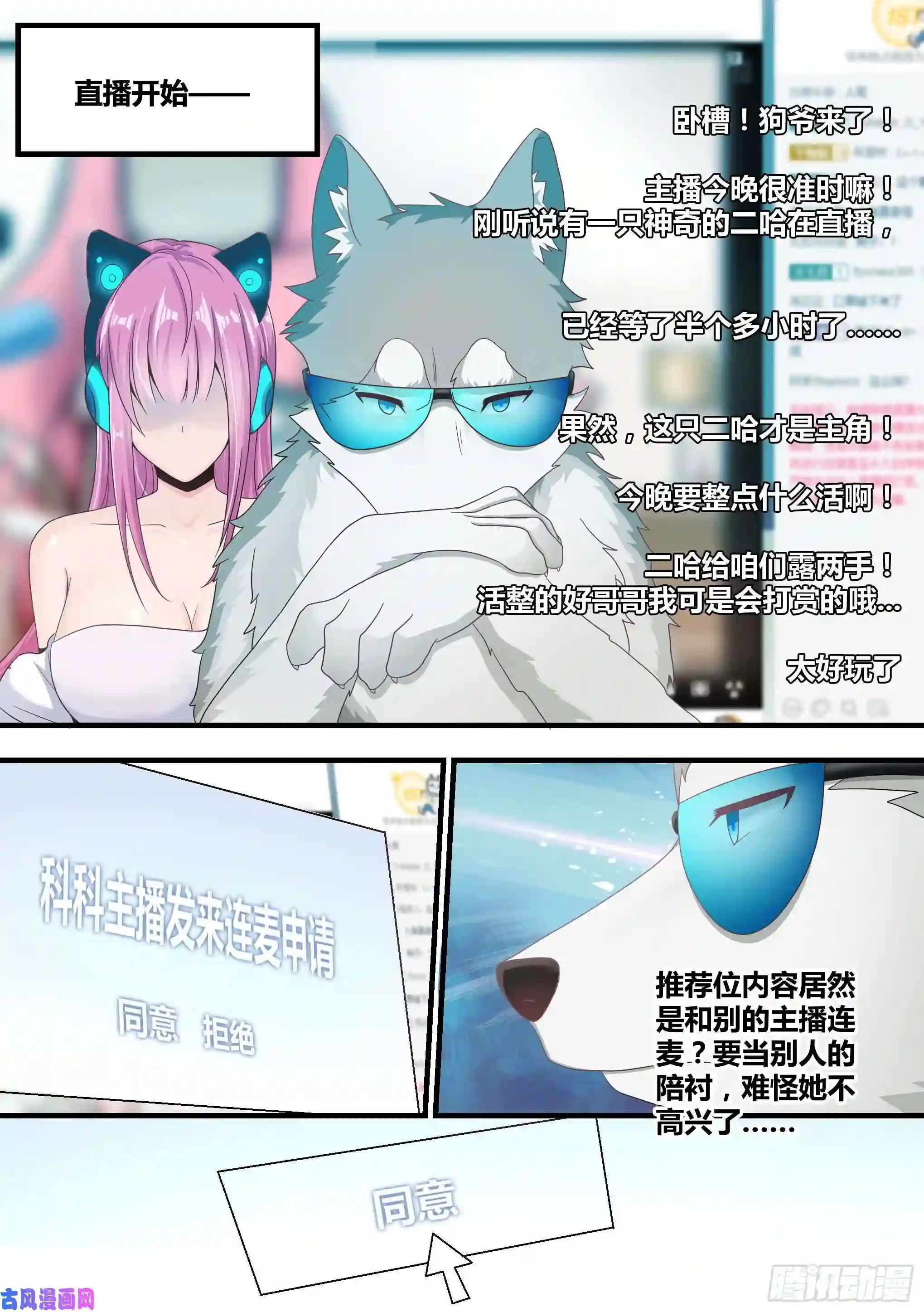 直播：女神家的哈士奇天秀3-欺负我的人，你凉了