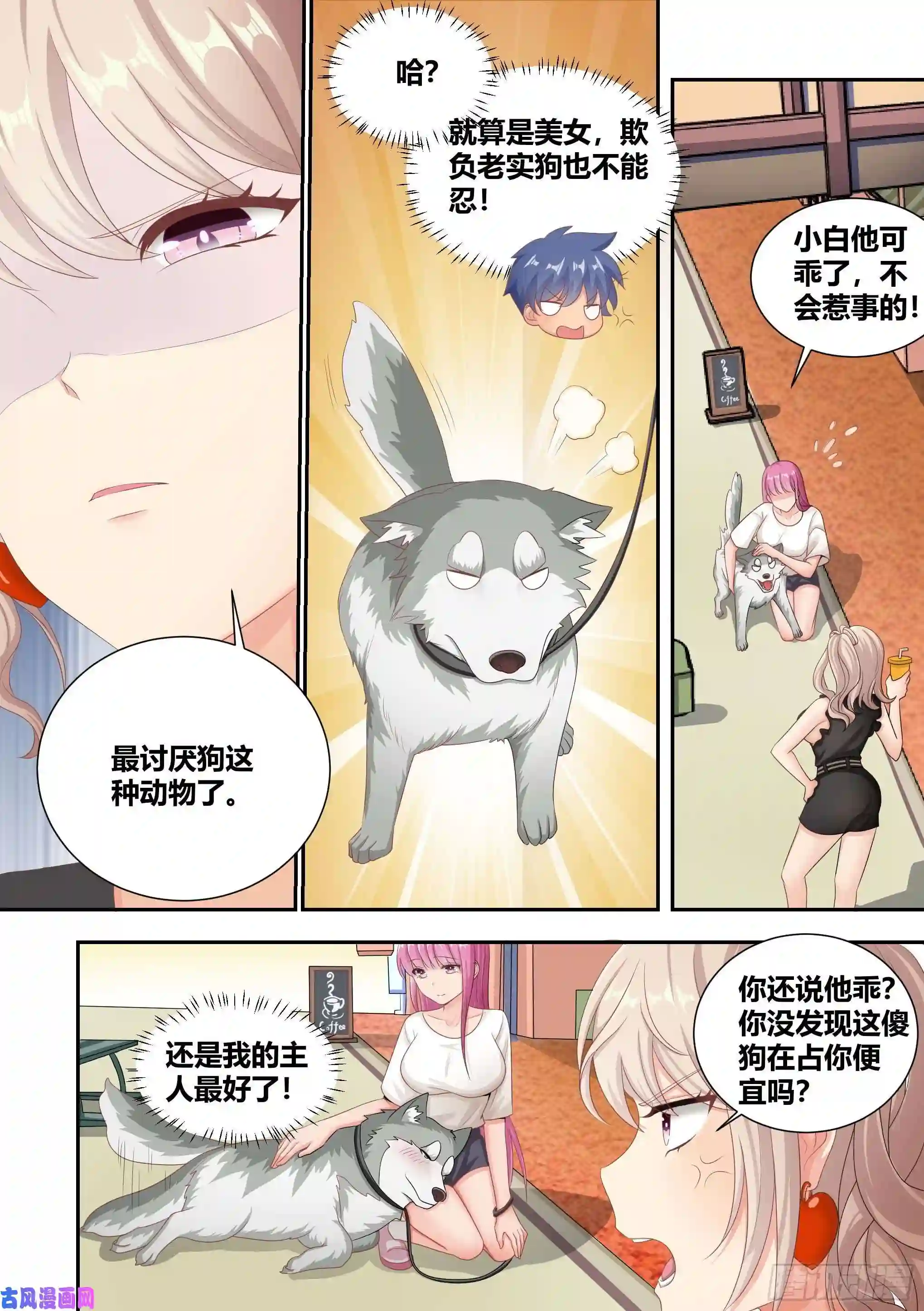 直播：女神家的哈士奇天秀4-美女的闺蜜也是美女