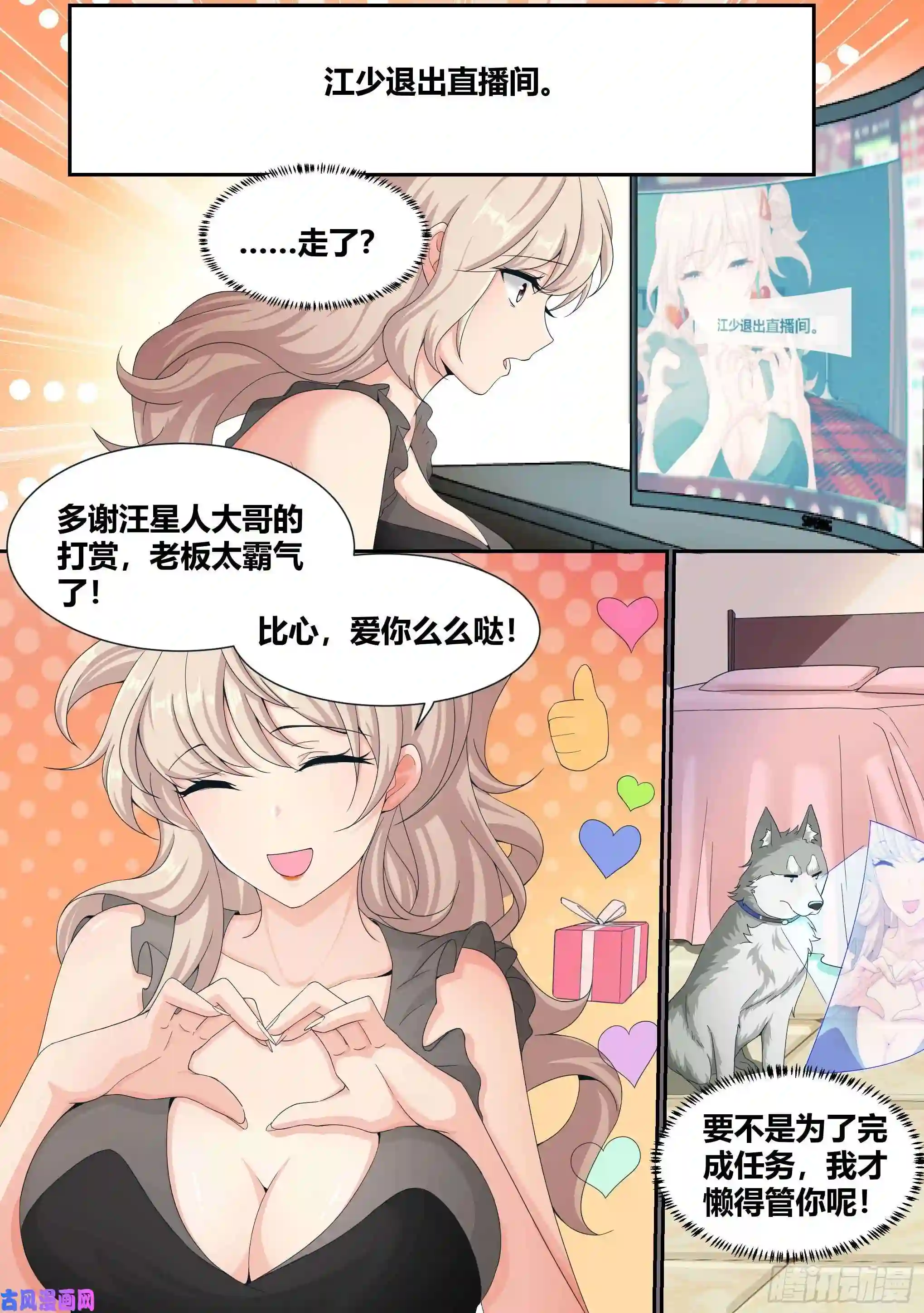 直播：女神家的哈士奇天秀5-父皇，加个微信