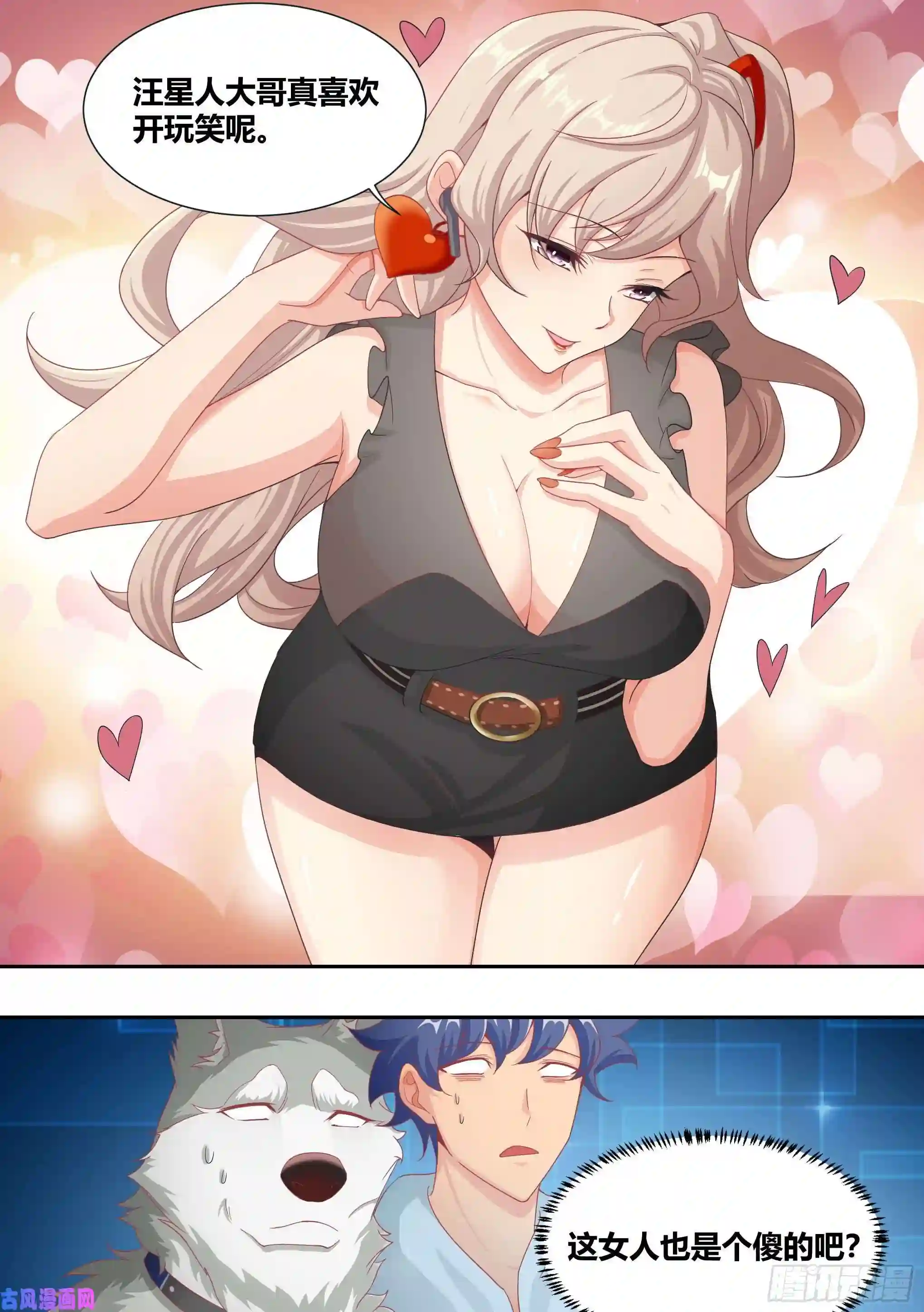 直播：女神家的哈士奇天秀5-父皇，加个微信
