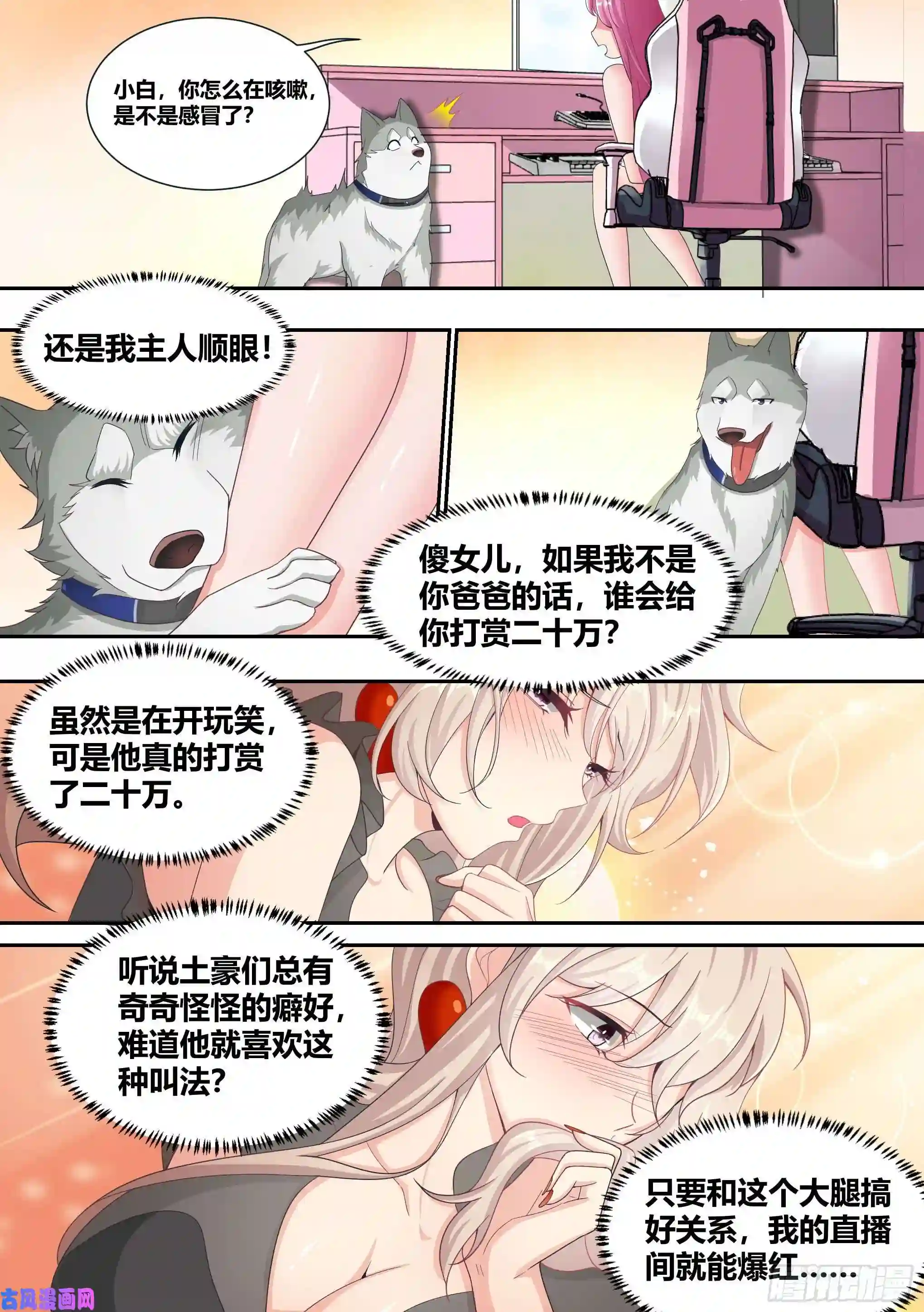 直播：女神家的哈士奇天秀5-父皇，加个微信