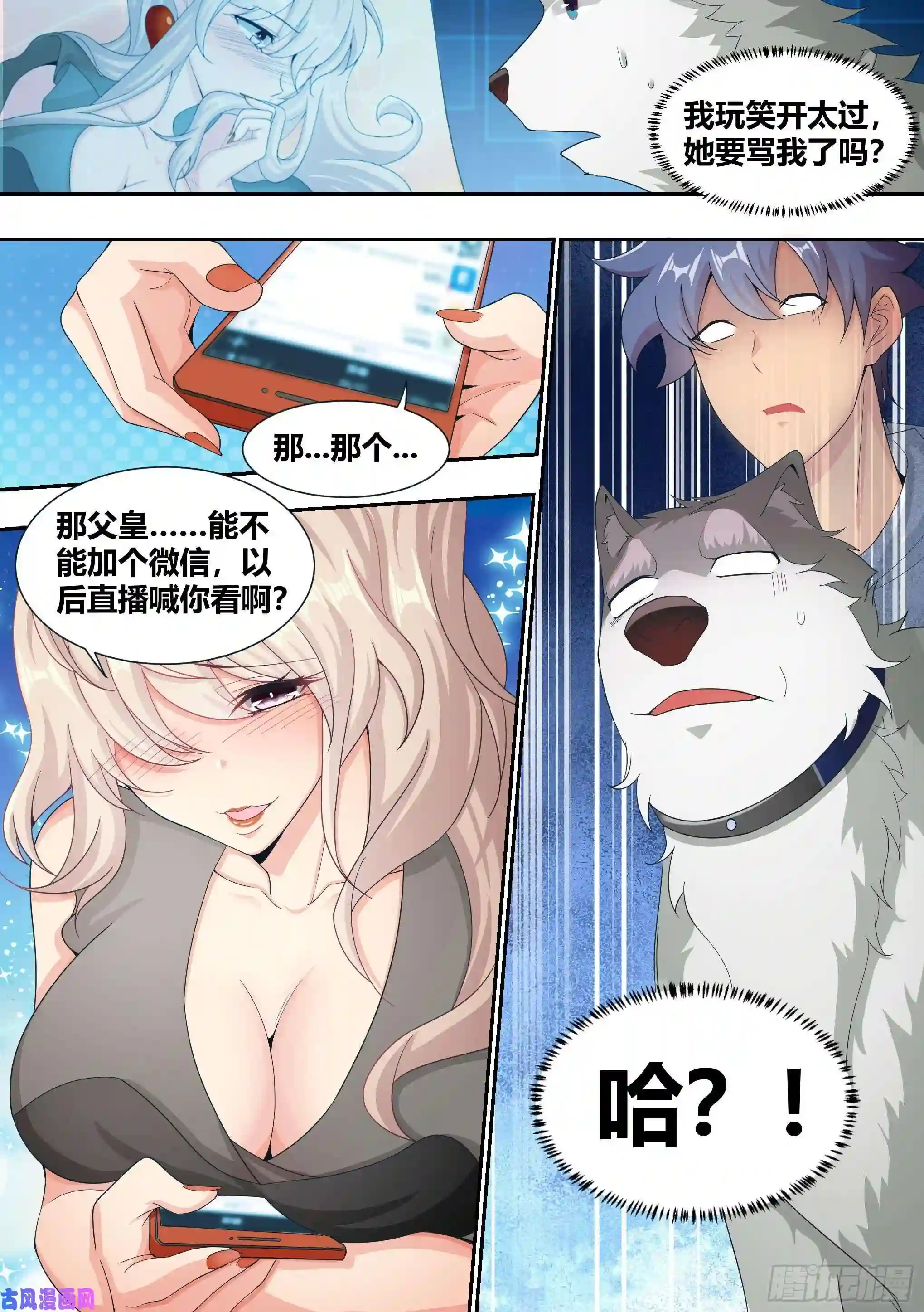 直播：女神家的哈士奇天秀5-父皇，加个微信