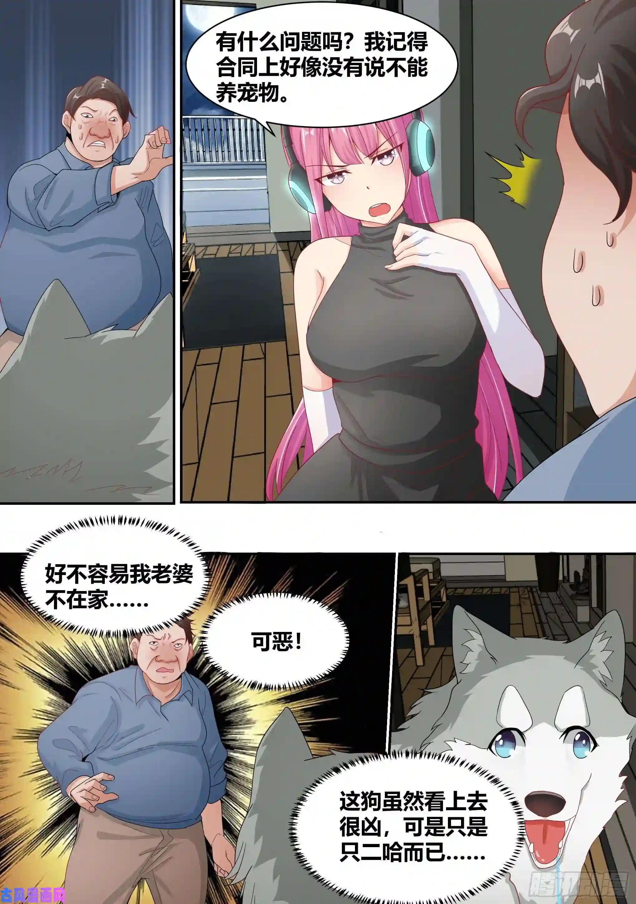 直播：女神家的哈士奇天秀6-小白，这下我们无家可归了