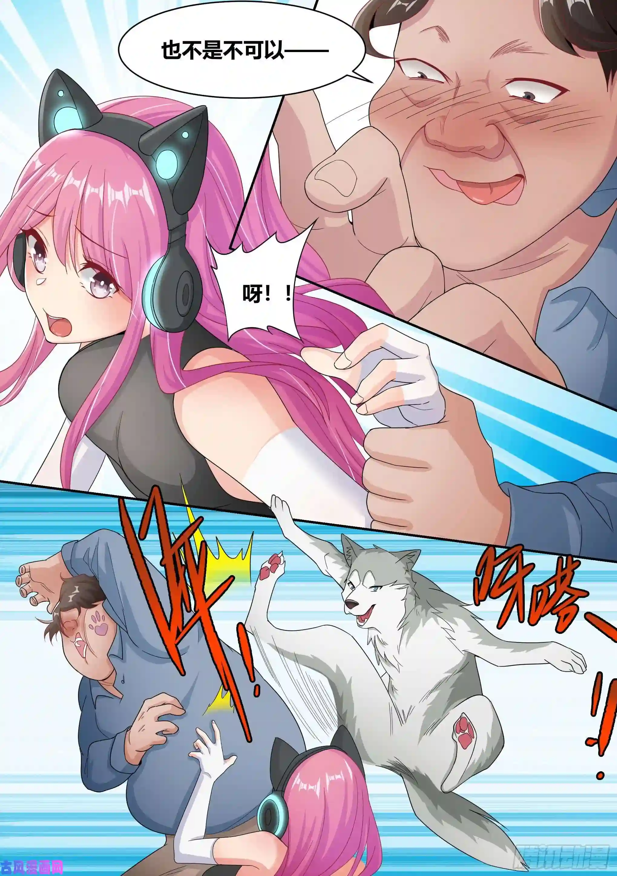 直播：女神家的哈士奇天秀6-小白，这下我们无家可归了