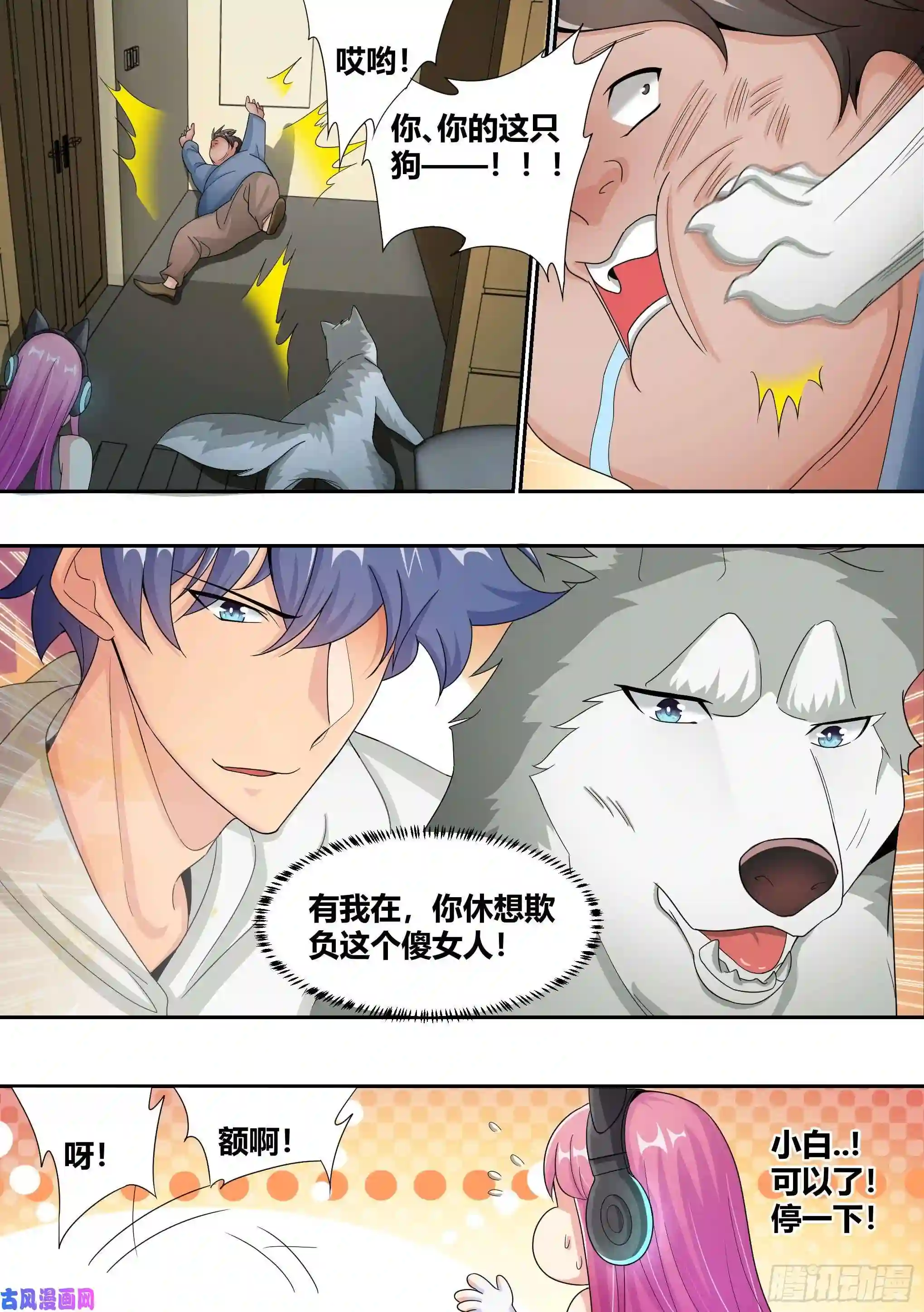 直播：女神家的哈士奇天秀6-小白，这下我们无家可归了