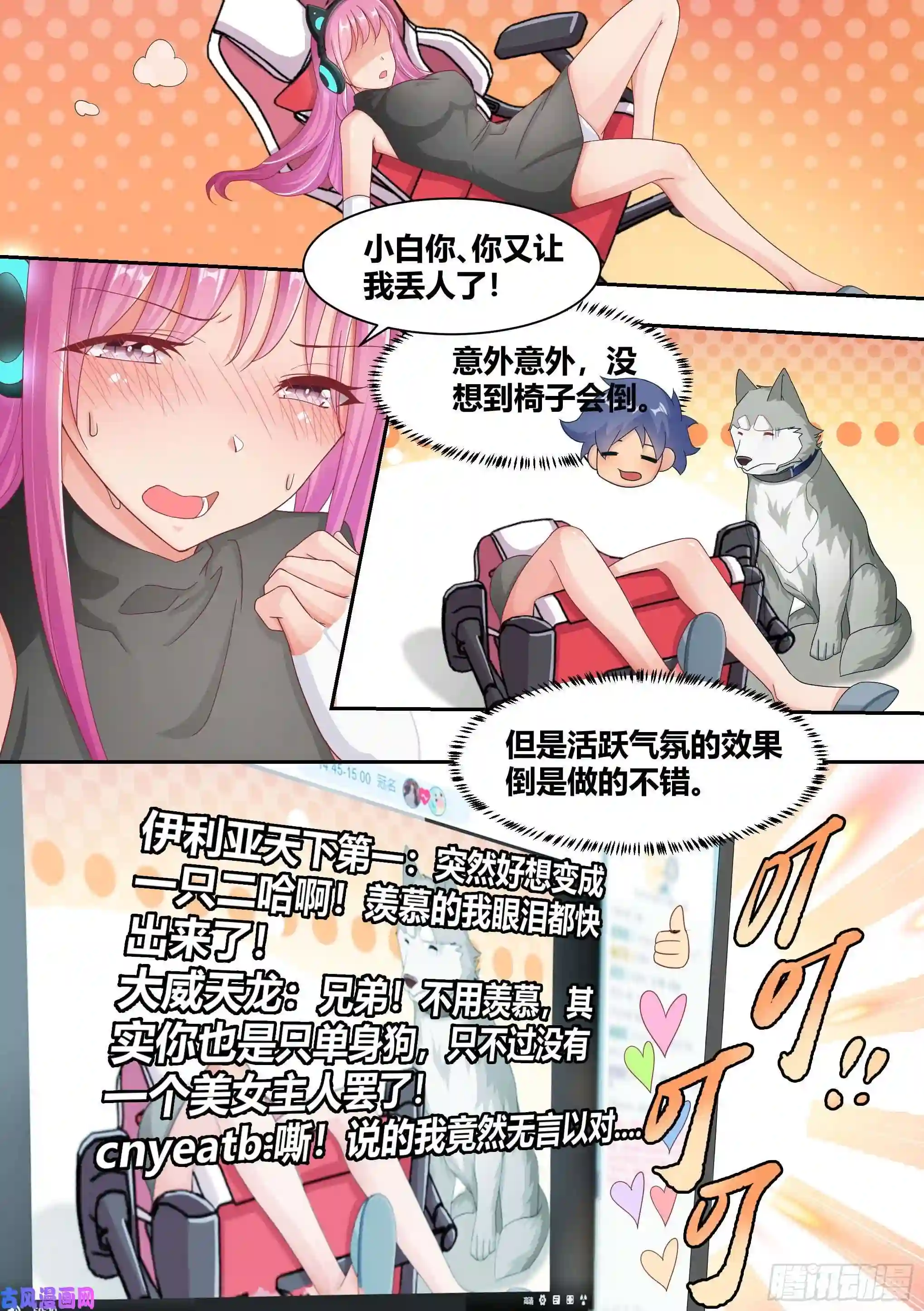 直播：女神家的哈士奇天秀6-小白，这下我们无家可归了