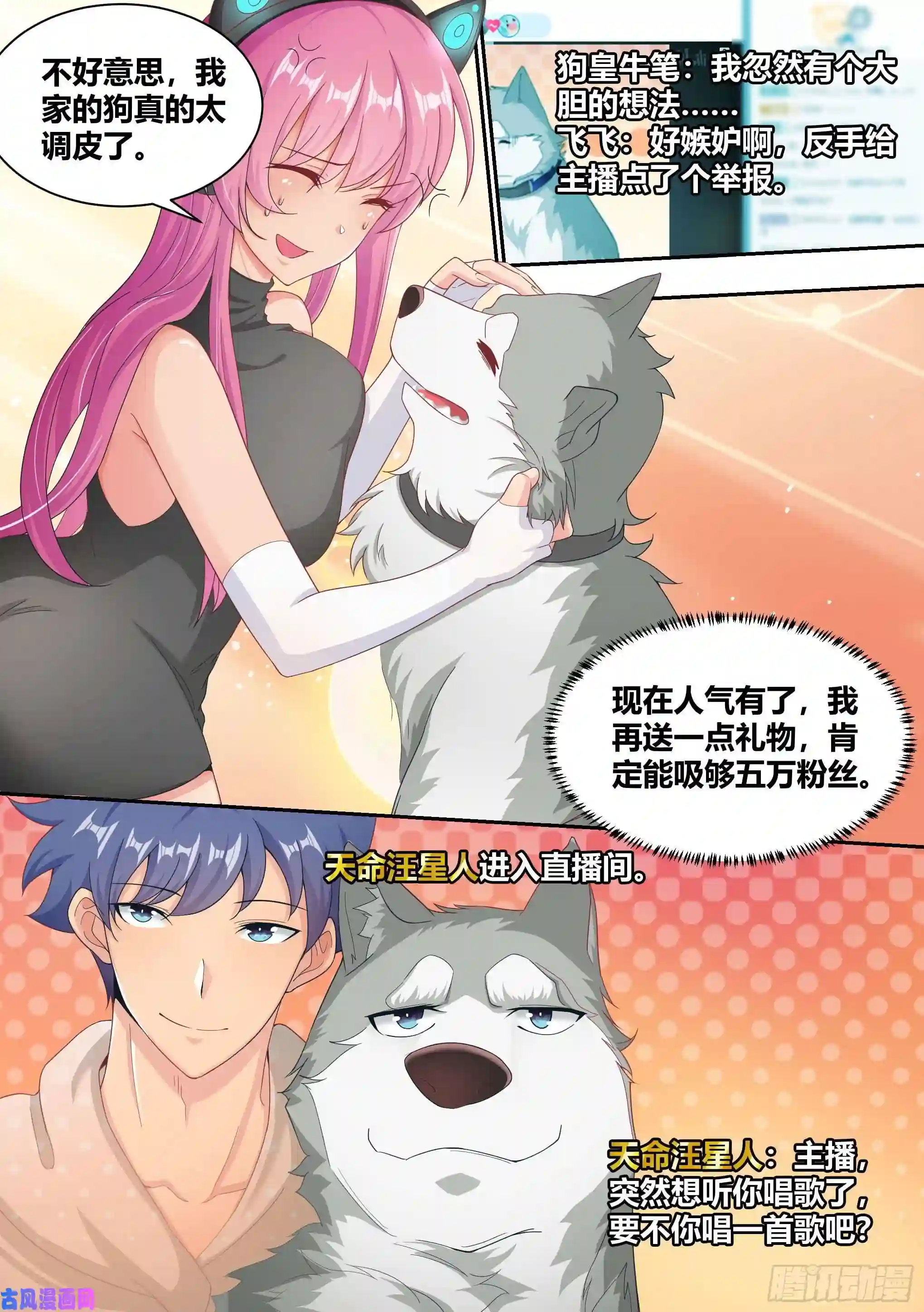 直播：女神家的哈士奇天秀6-小白，这下我们无家可归了