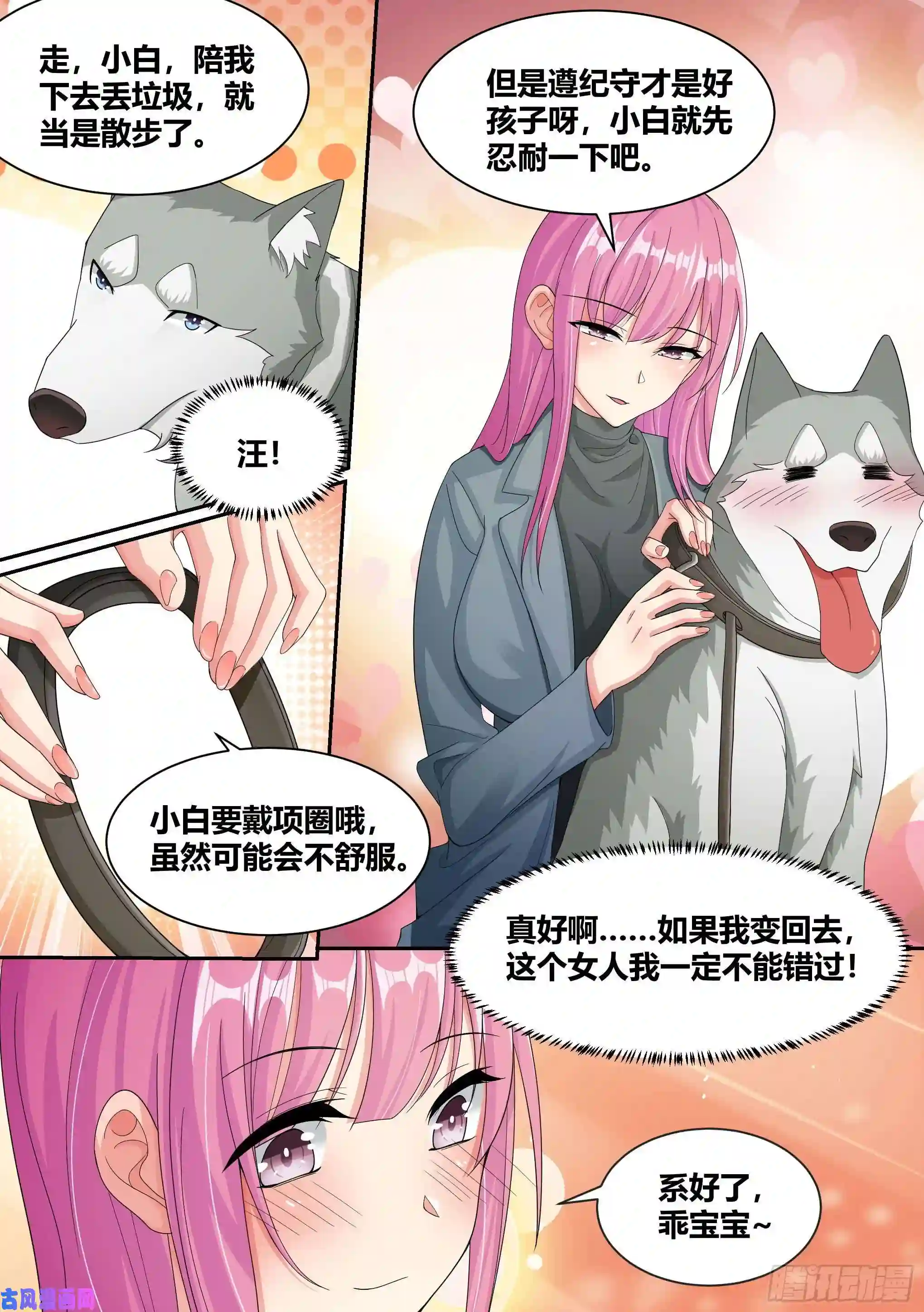 直播：女神家的哈士奇天秀7- 我也想直播“开车”嘛