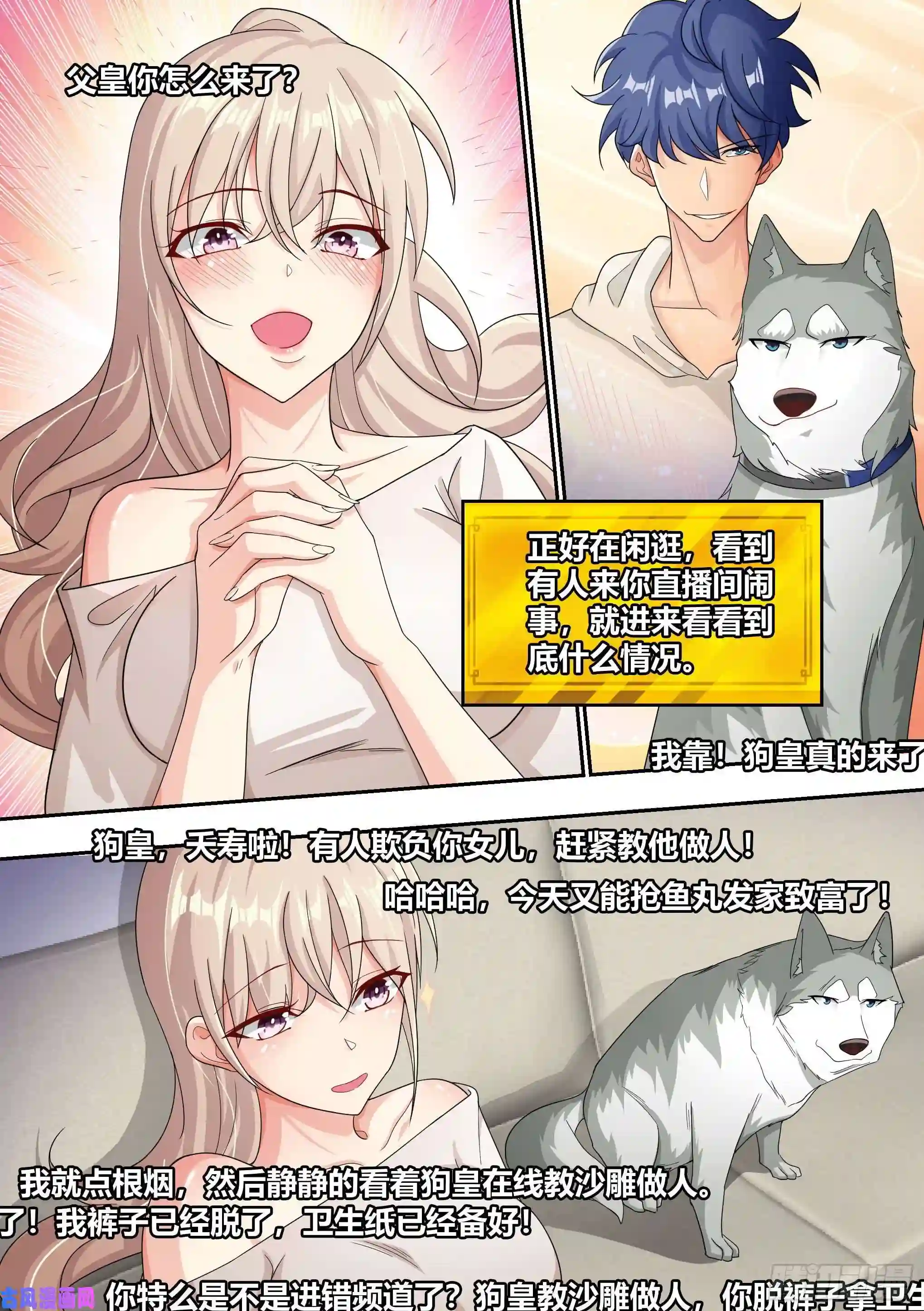 直播：女神家的哈士奇天秀8-被女人争抢的狗皇