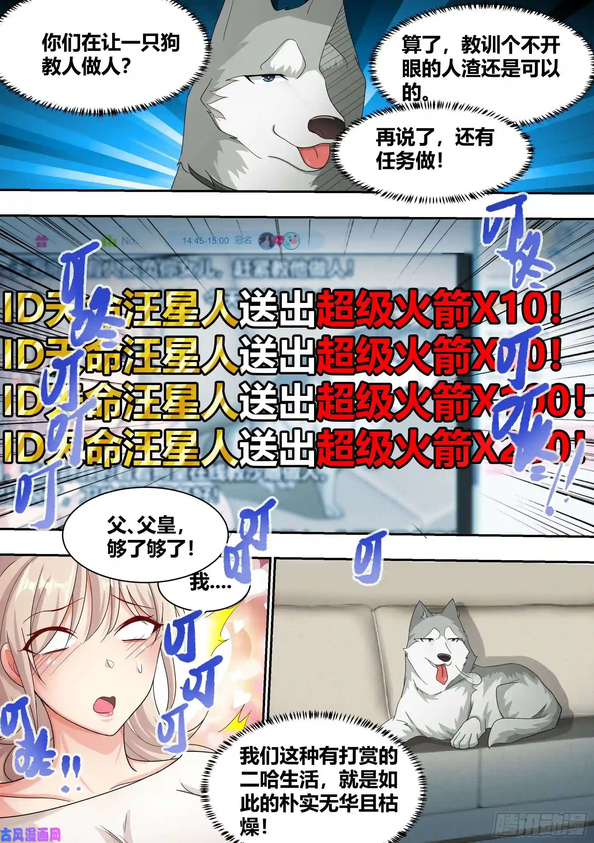 直播：女神家的哈士奇天秀8-被女人争抢的狗皇