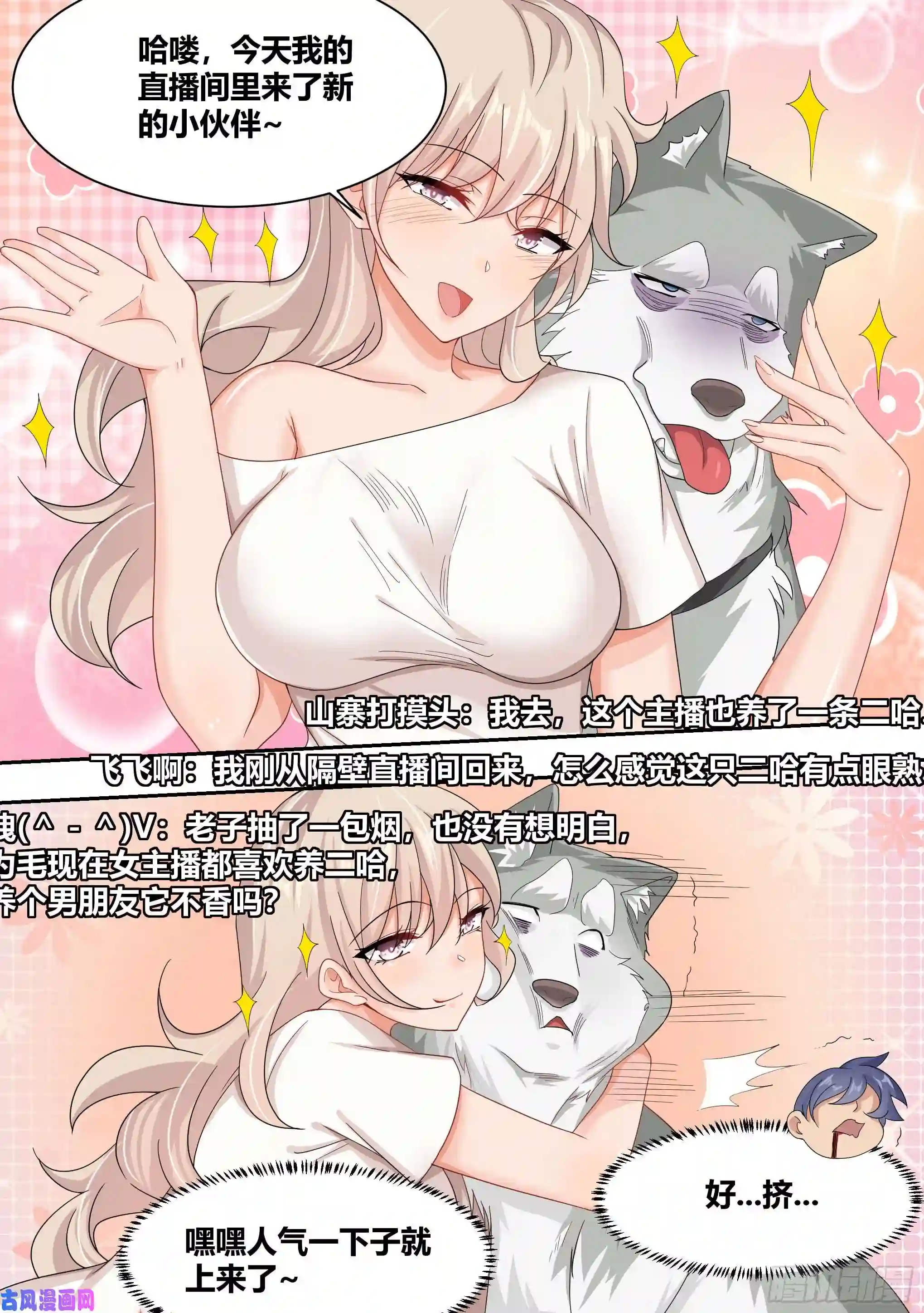 直播：女神家的哈士奇天秀8-被女人争抢的狗皇