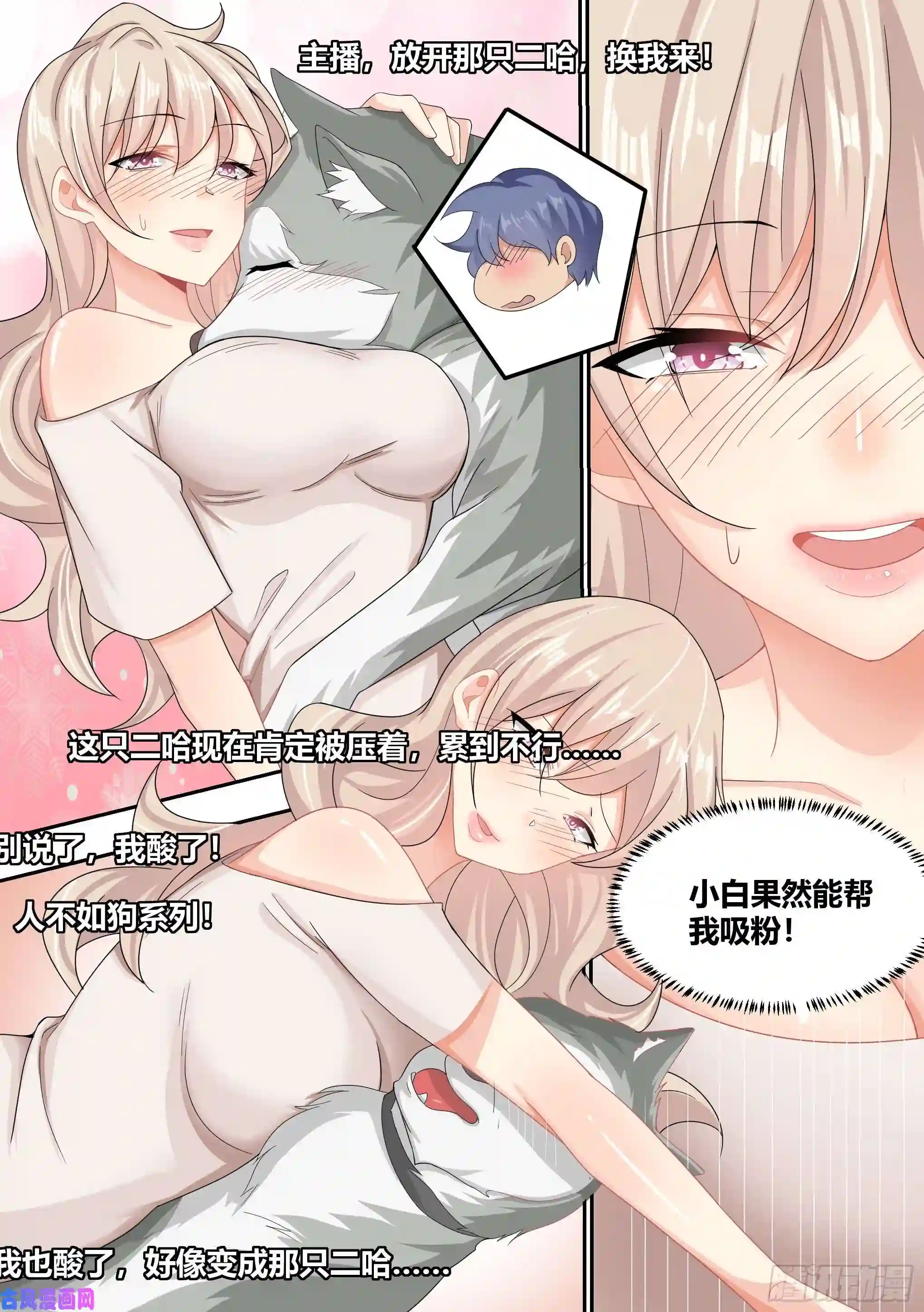 直播：女神家的哈士奇天秀8-被女人争抢的狗皇